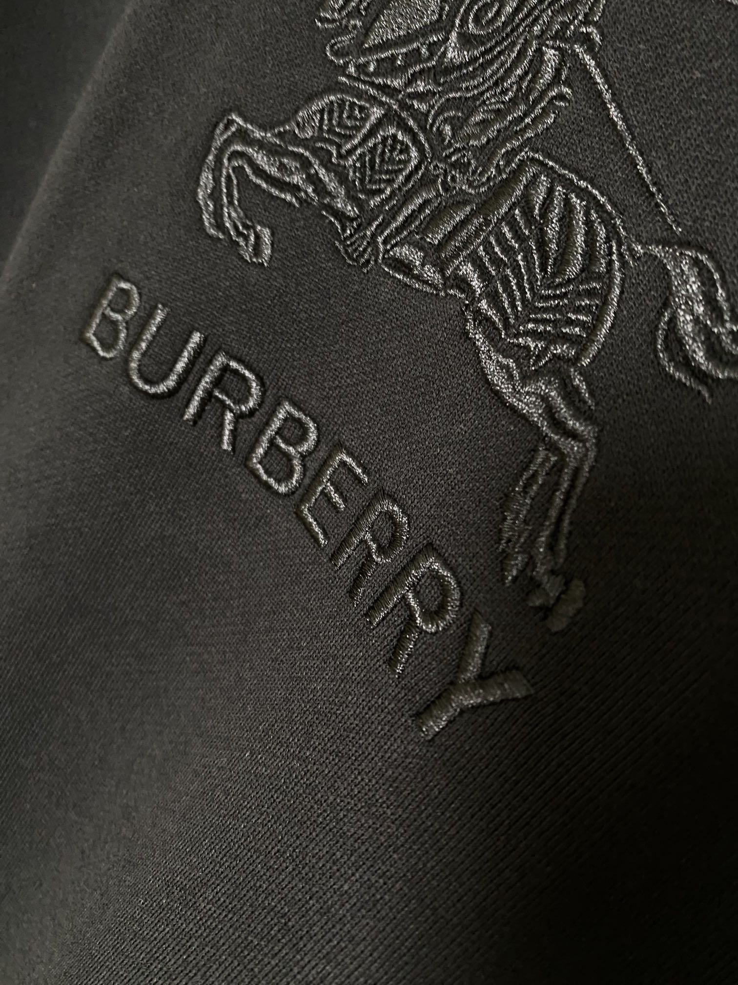 Burberry Hoodies